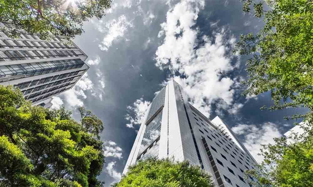 Khác biệt giữa tiêu chuẩn LEED và EDGE ở các tòa nhà văn phòng xanh hiện đại